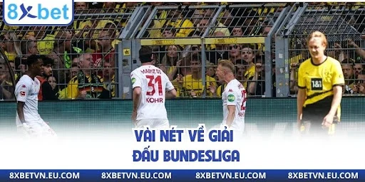 Vài nét về giải đấu Bundesliga