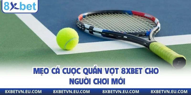 Mẹo cá cược quần vợt 8xbet cho người chơi mới