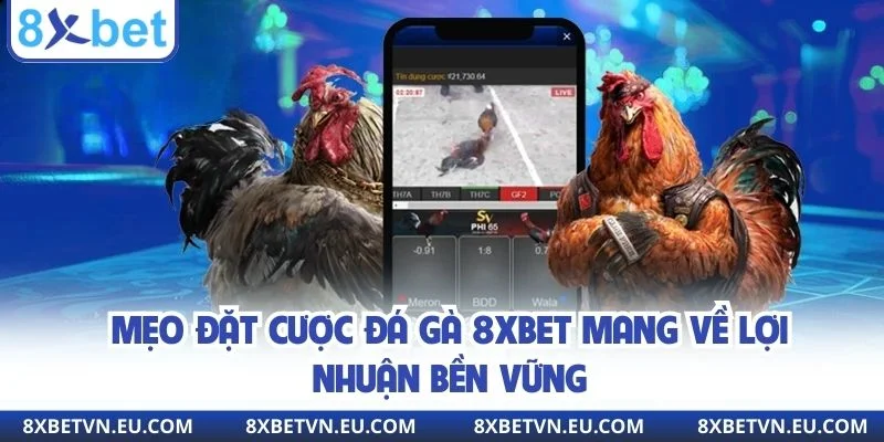 Mẹo đặt cược đá gà 8xbet mang về lợi nhuận bền vững