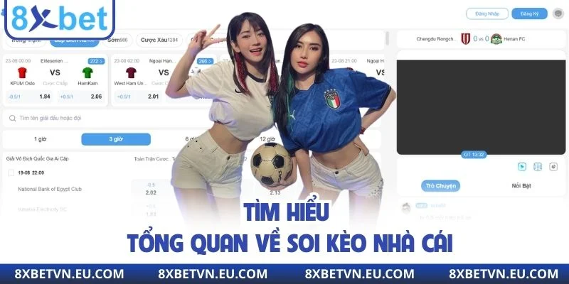 Tìm hiểu thông tin trước khi soi kèo nhà cái