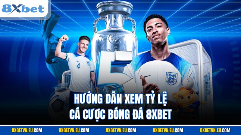 Hướng dẫn xem tỷ lệ cá cược bóng đá 8XBET