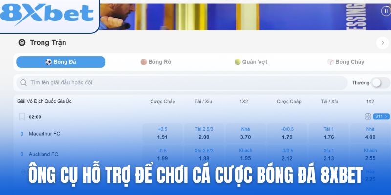 Sử dụng những công cụ hỗ trợ để chơi Cá cược bóng đá 8xbet hiệu quả
