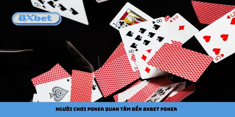 Vì Sao Người Chơi Poker Quan Tâm Đến 8xbet Poker