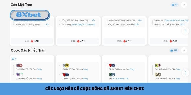 Các loại kèo cá cược bóng đá 8xbet nên chơi