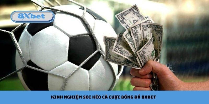 Kinh nghiệm soi kèo cá cược bóng đá 8xbet hiệu quả